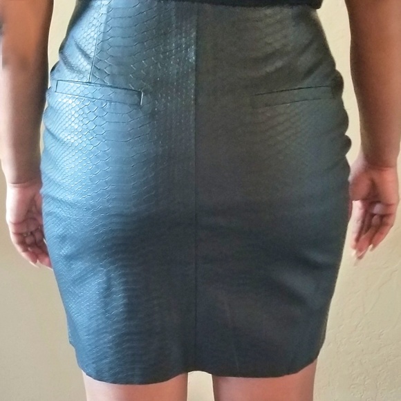 Lucy Paris Vegan Zip Front Skirt - Picture 2 of 3